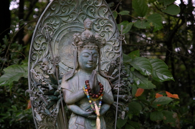 mt shosha (3)