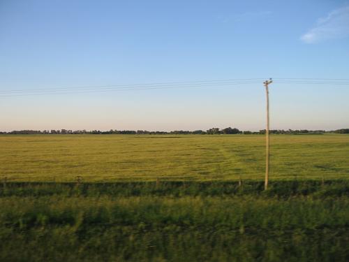 IMG_8145
