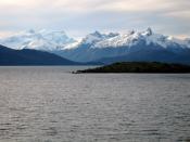IMG_8411-1