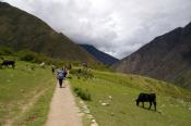 Inca Trail